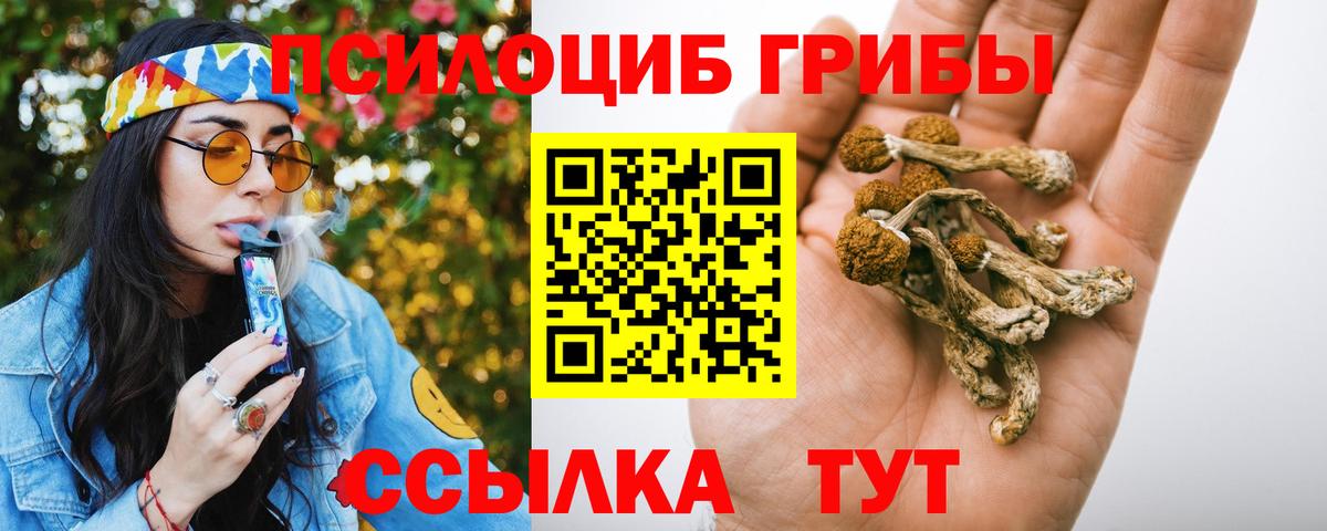 Псилоцибиновые грибы мицелий  Галлюциногенные грибы прущие грибы  Вход с VPN  Канаш 